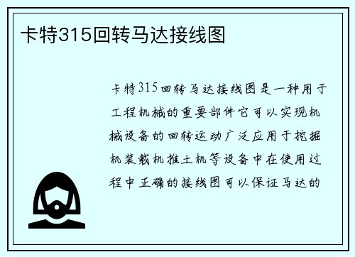 卡特315回转马达接线图